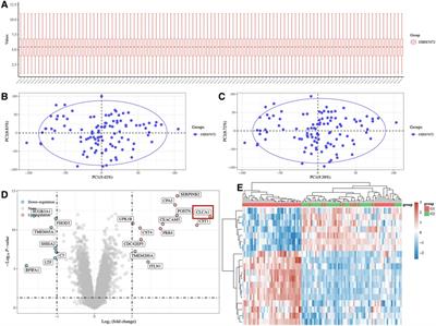 CLCA1 mediates the regulatory effect of IL-13 on pediatric asthma